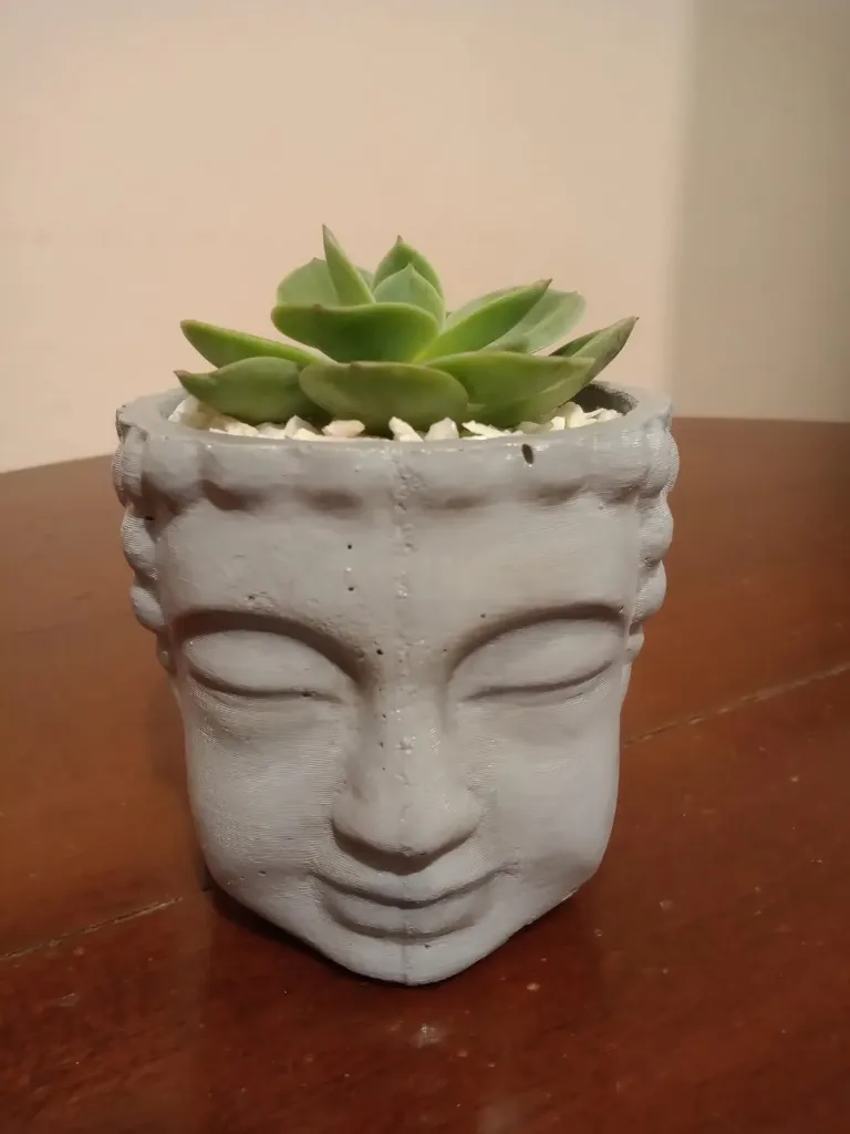 Maceta Buda
